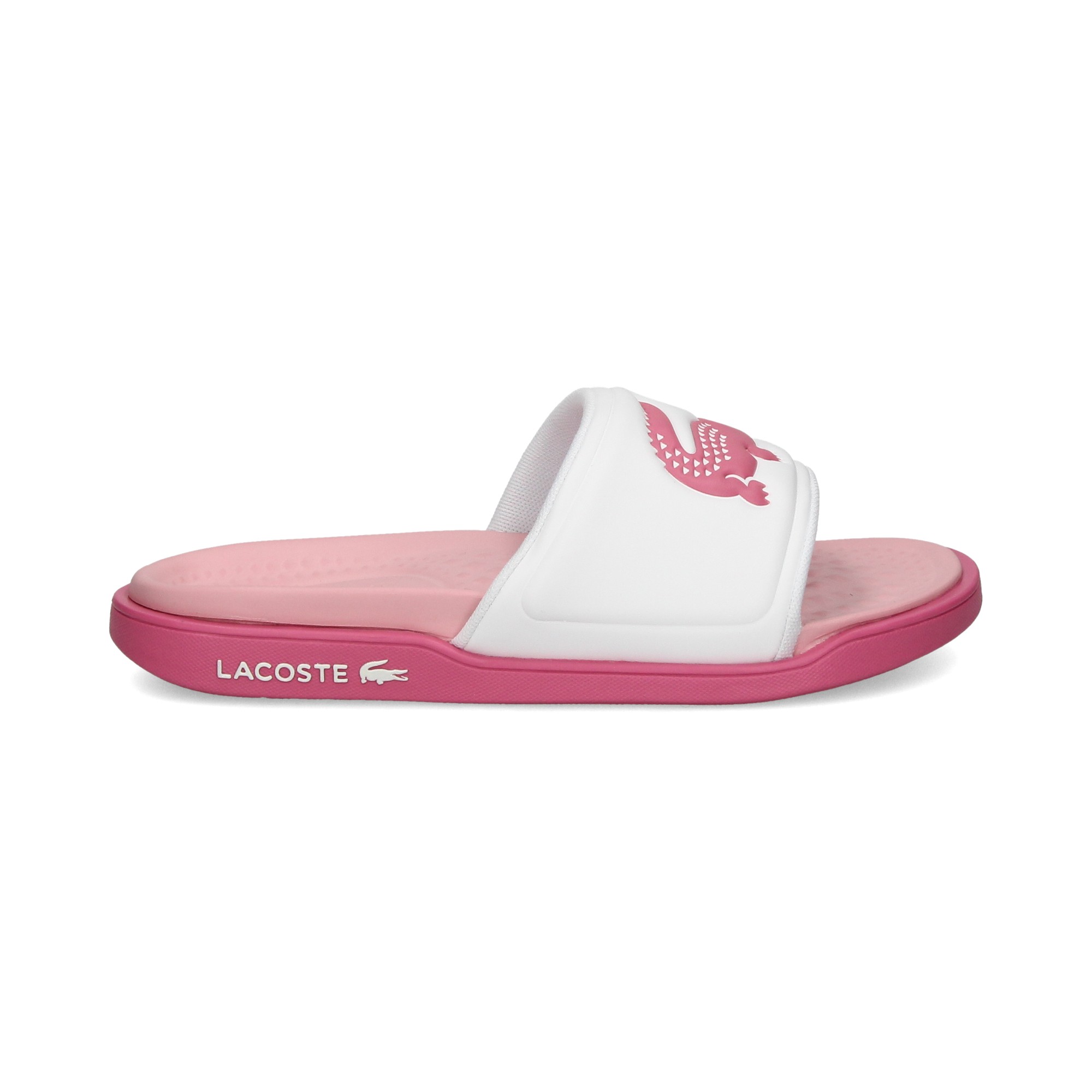 coco-y-planta-fucsia-pala-blanco