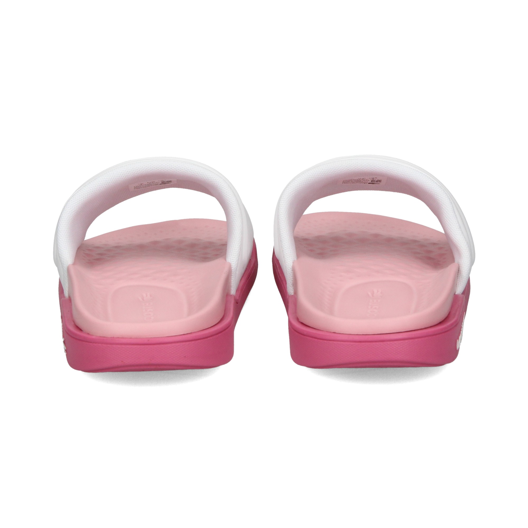 coco-y-planta-fucsia-pala-blanco