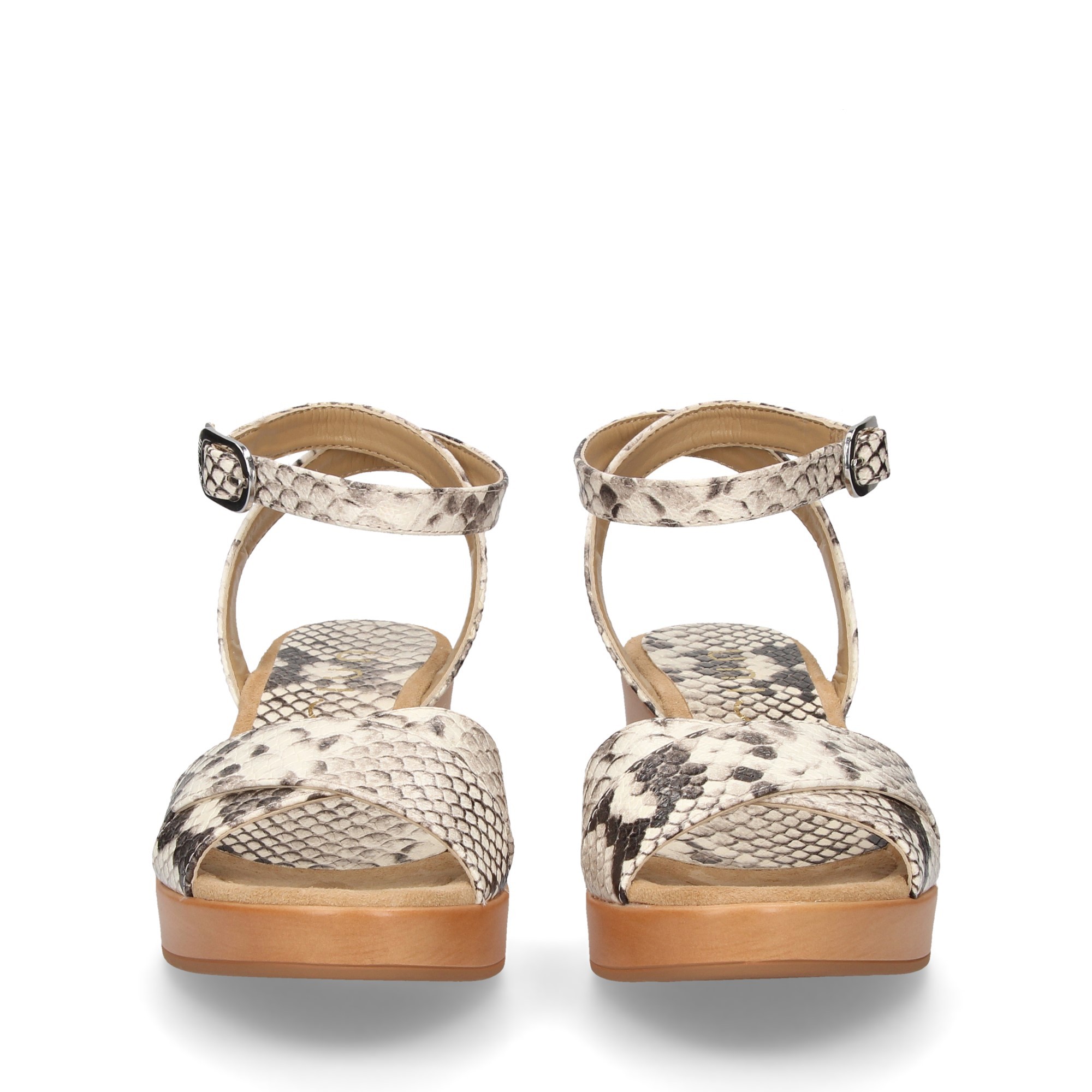 PELLE TRANSVERSALE EN NACRE LIÉE À DES REPTILES