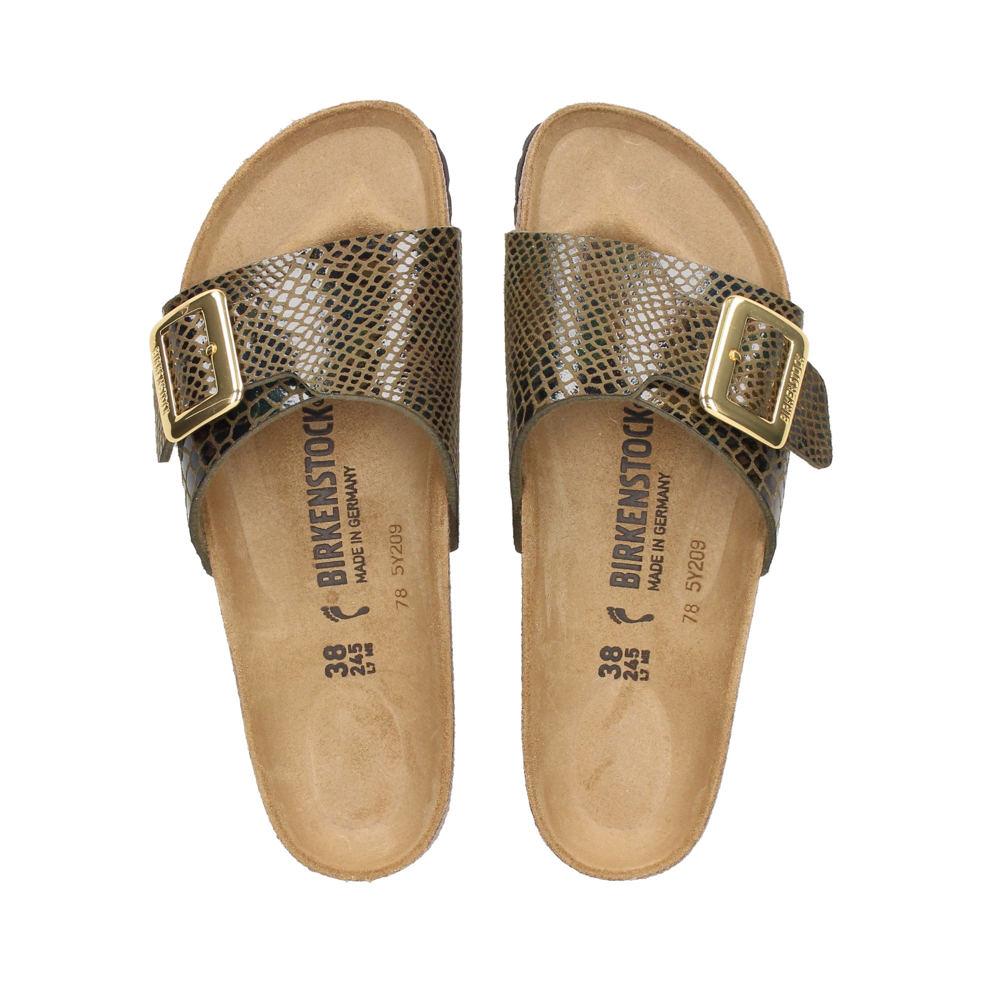 pala-hebilla-reptil-marron