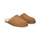 CHE CHESTNUT