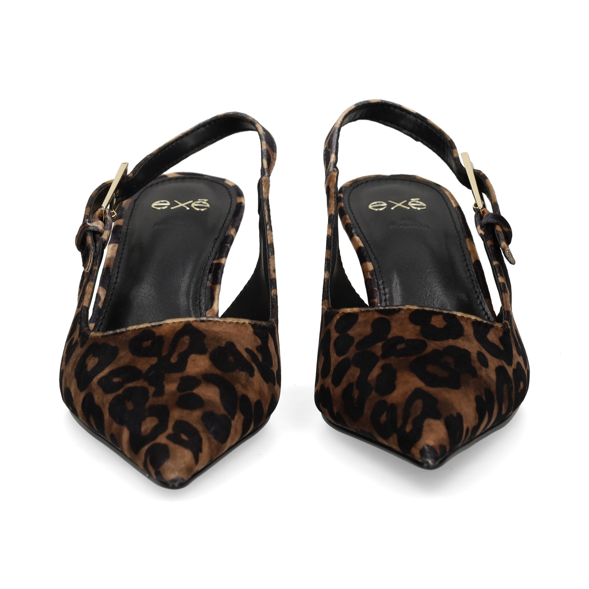 sin-talon-leopardo-marron