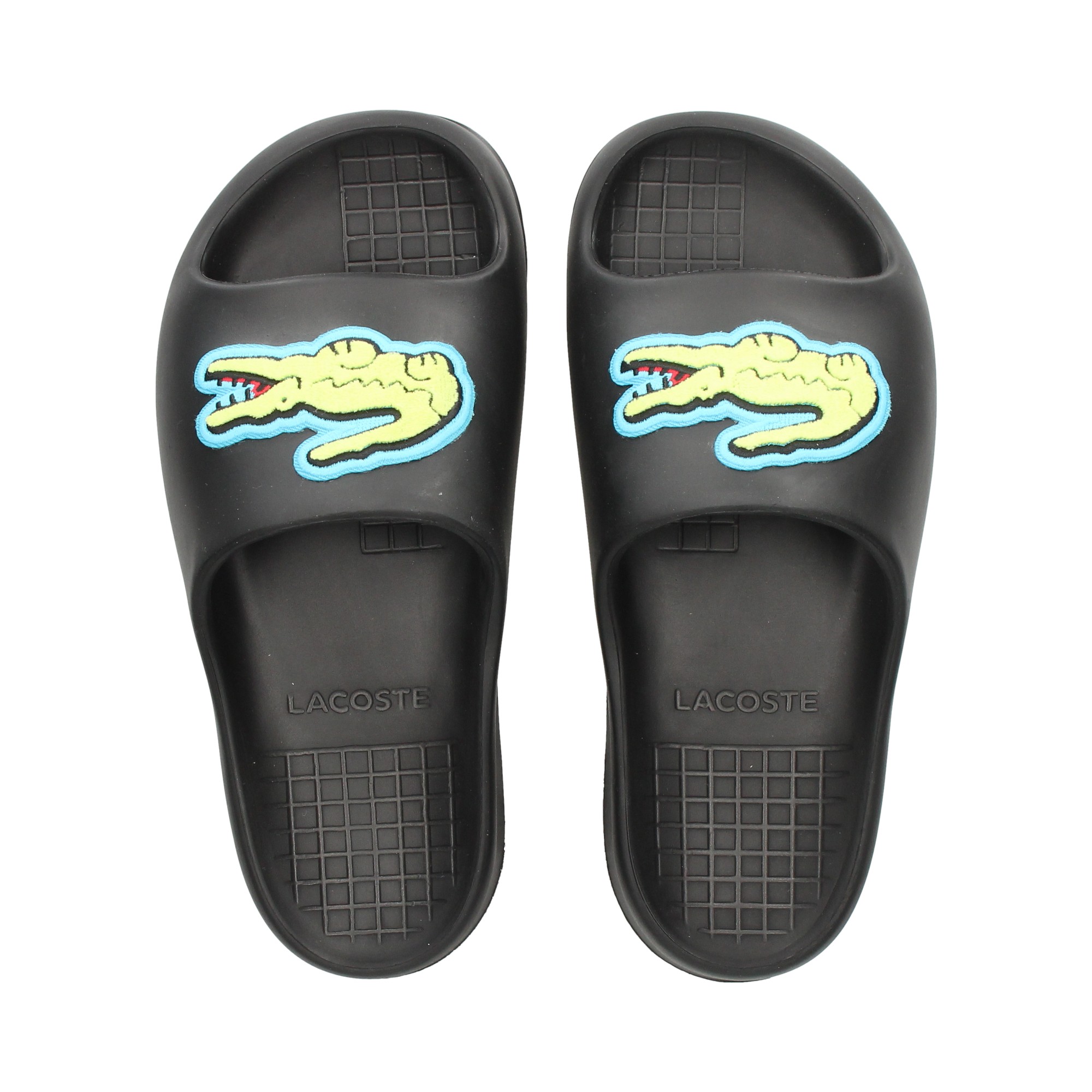 coco-verdeazul-pala-pool-negro