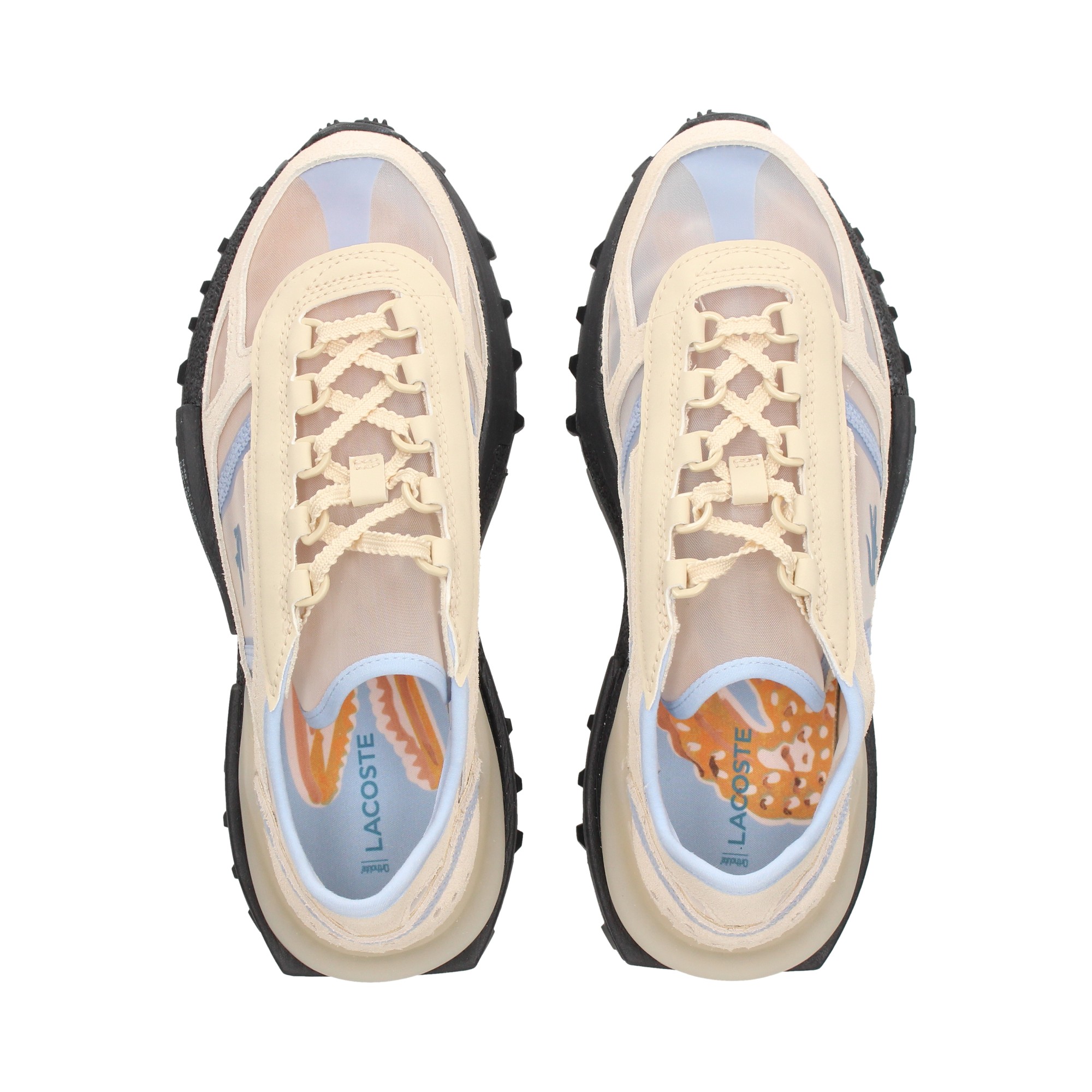 dep-coordenadas-nylon-transp-multi