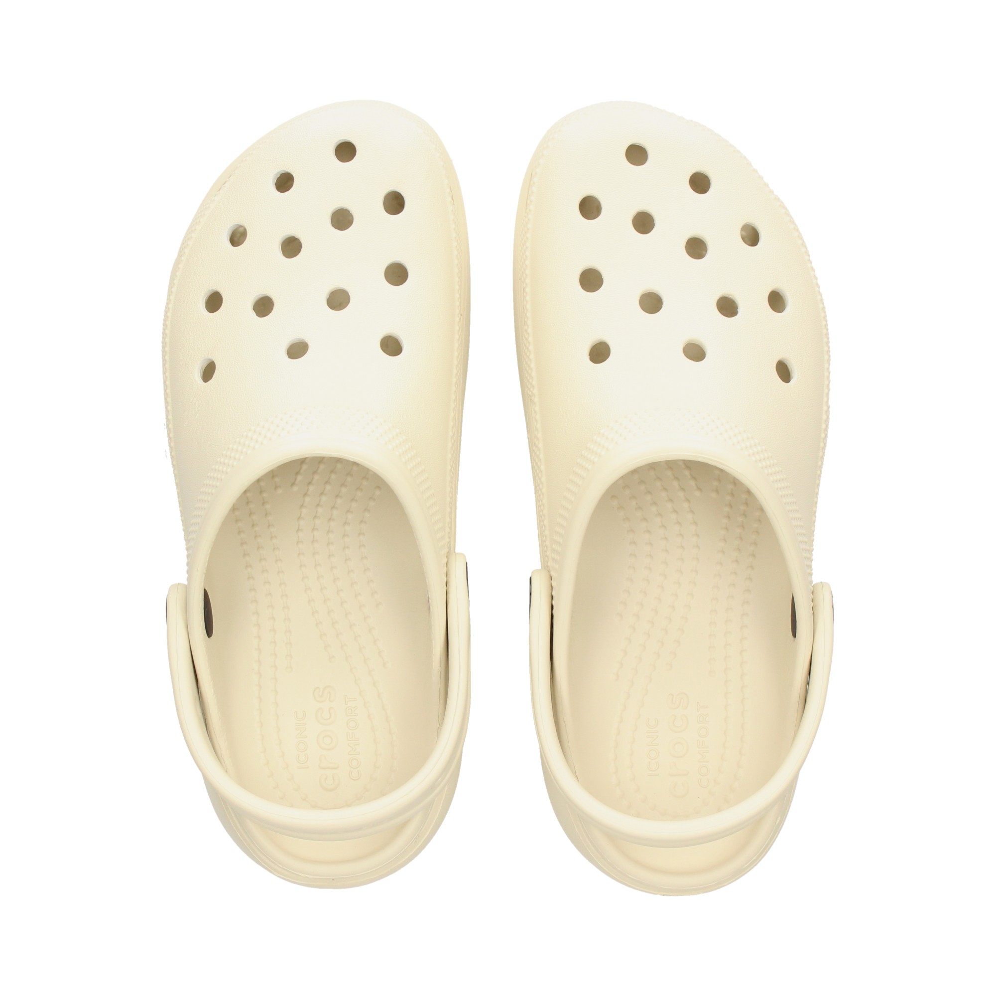 zueco-plataforma-hielo