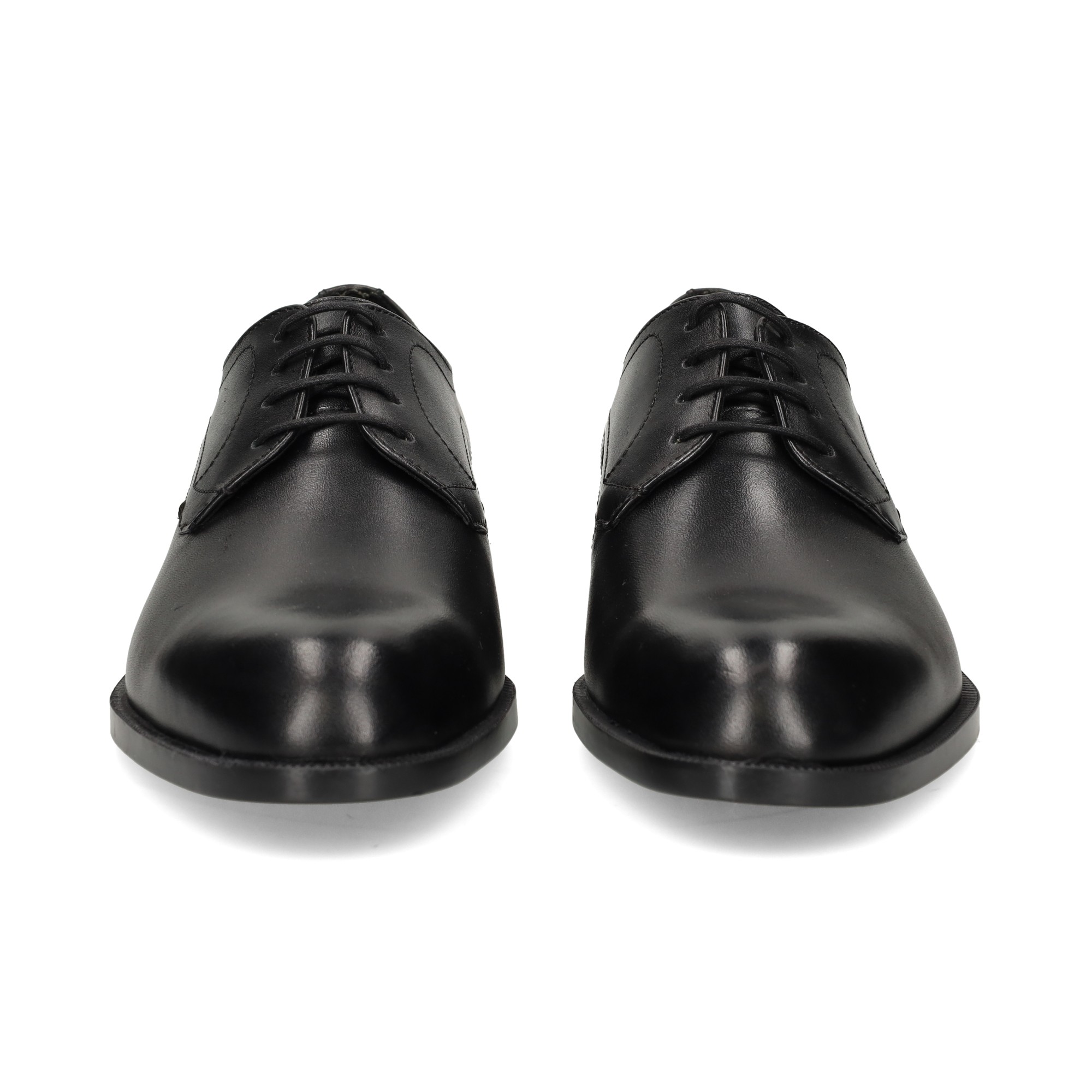 blucher-negro