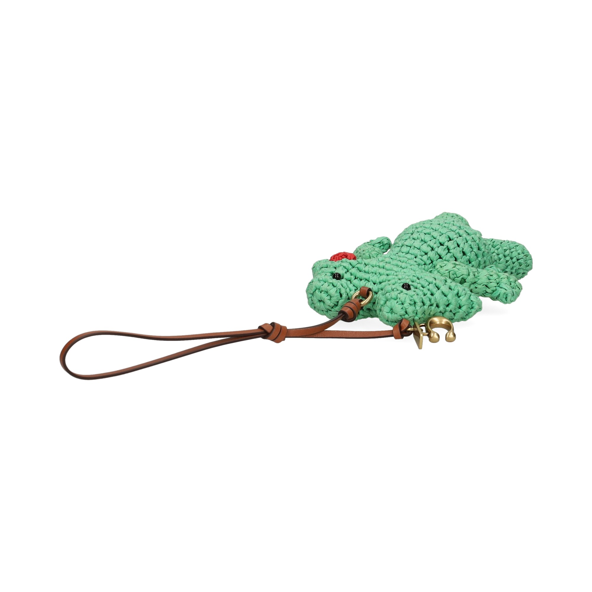 charm-frog