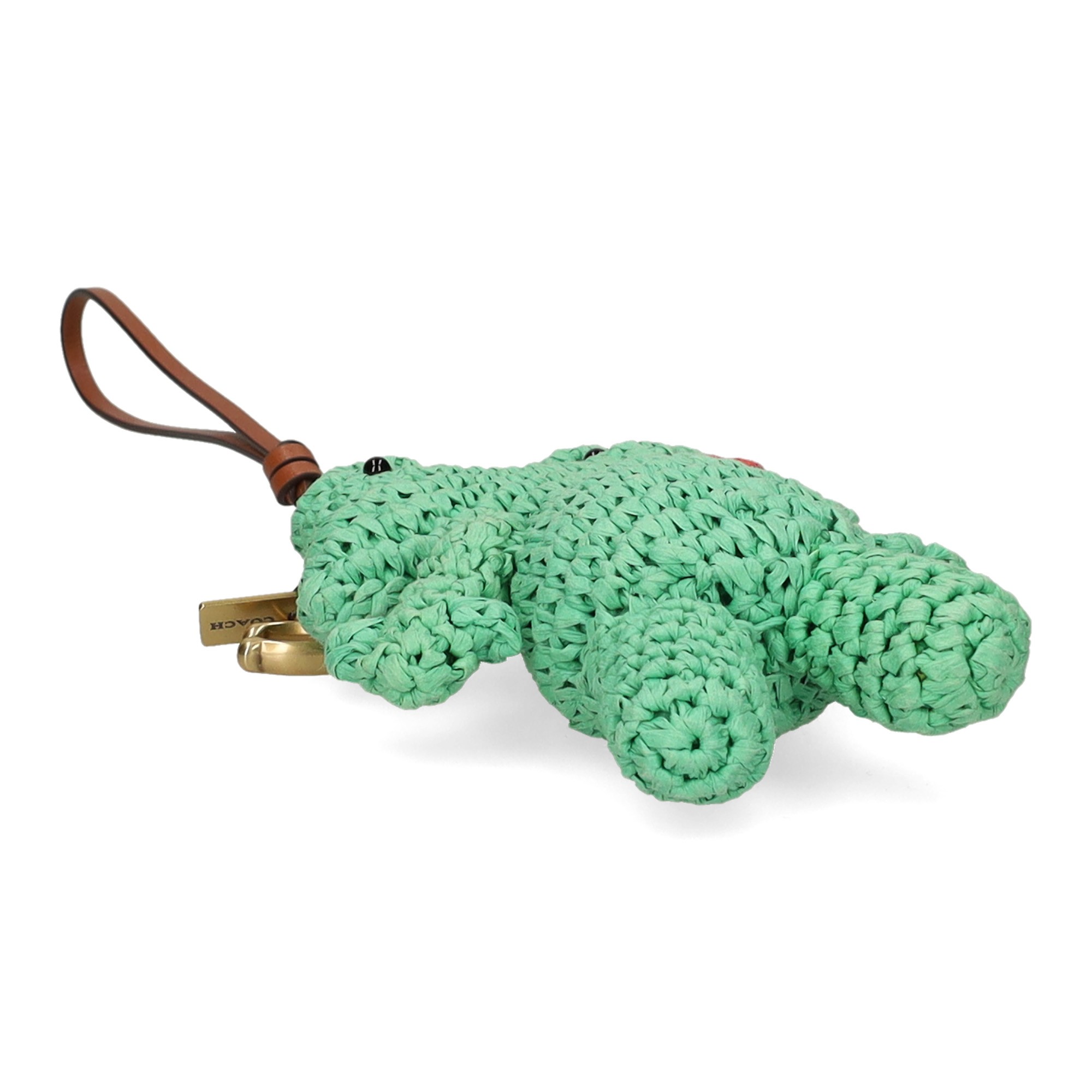 charm-frog