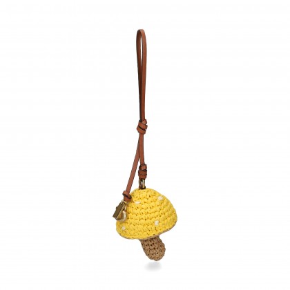 CHARM CHAMPIGNON b4/multi