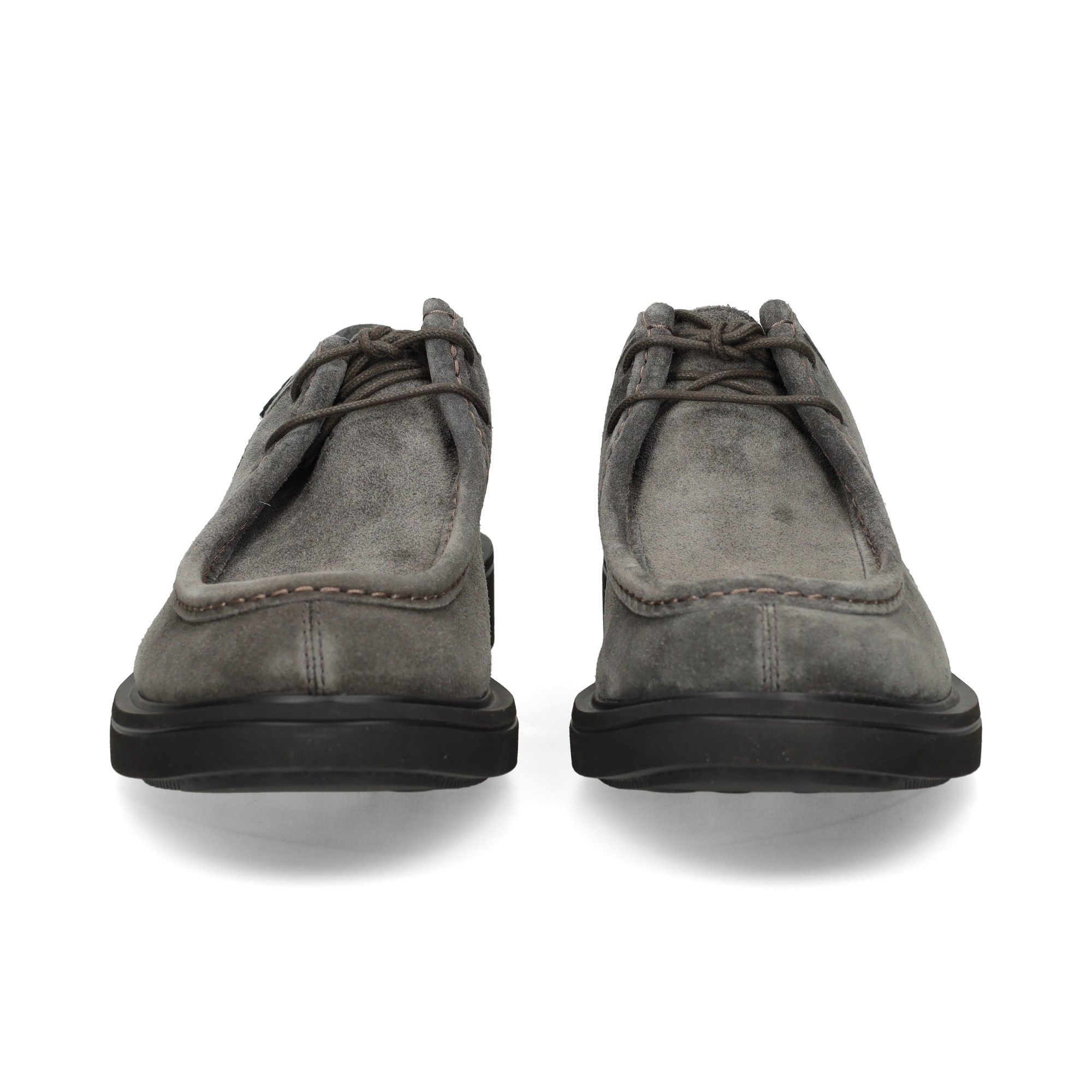 blucher-wallaby-ante-gris