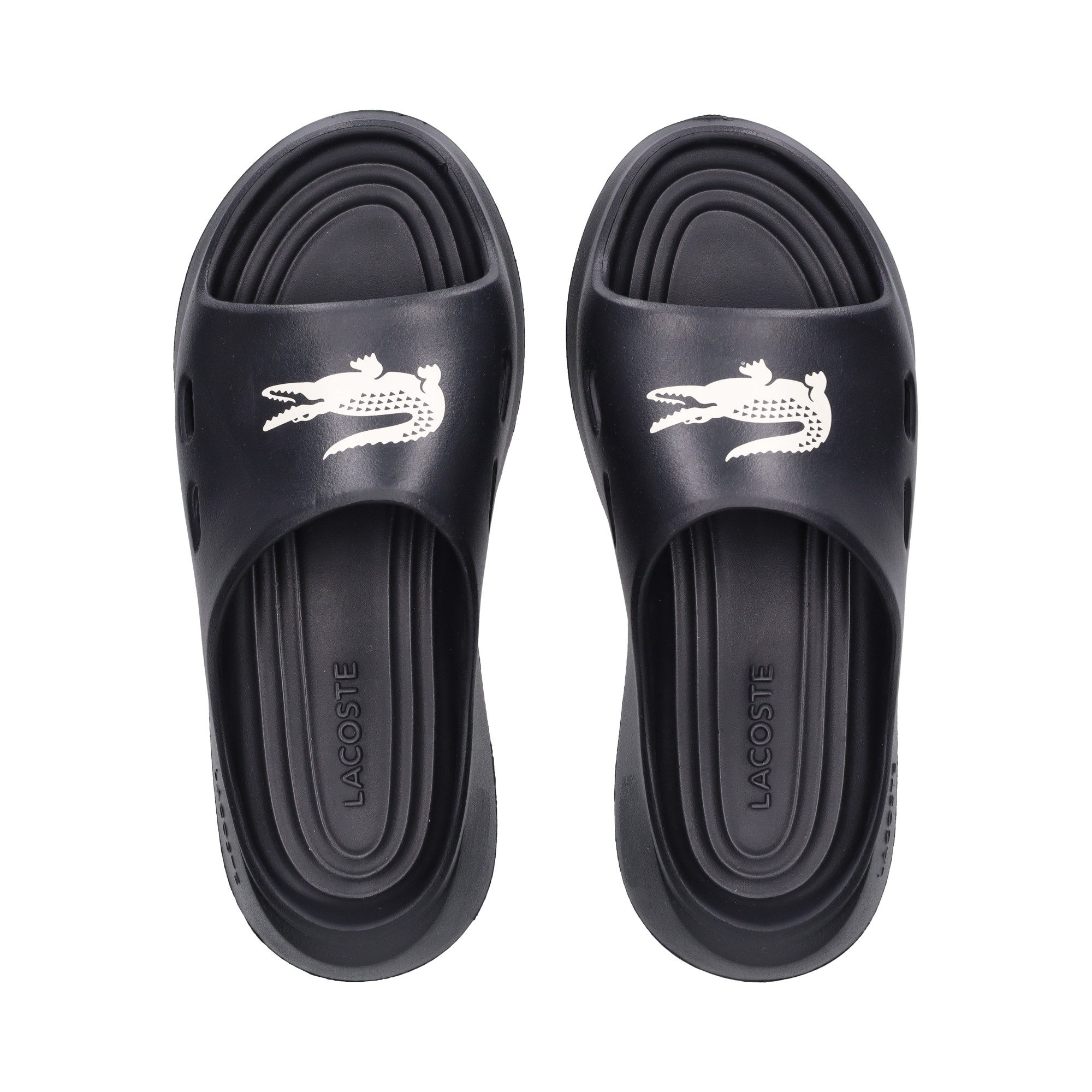pala-meduz-negro